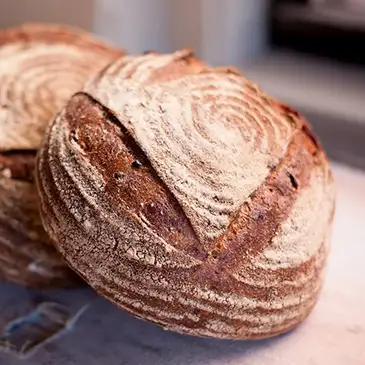 Featured Cheddar Ale Bread from SBC