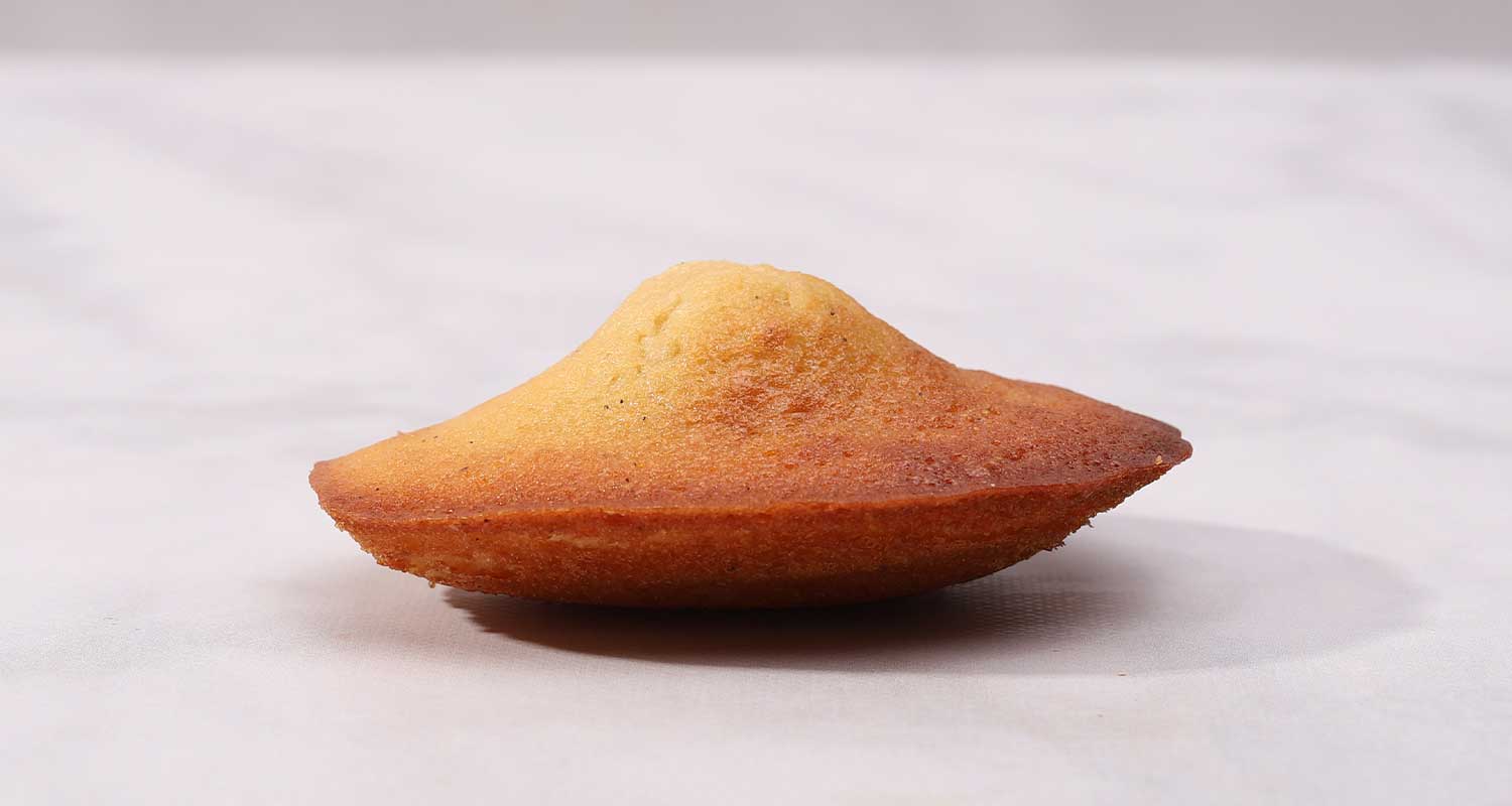 Madeleine side view single