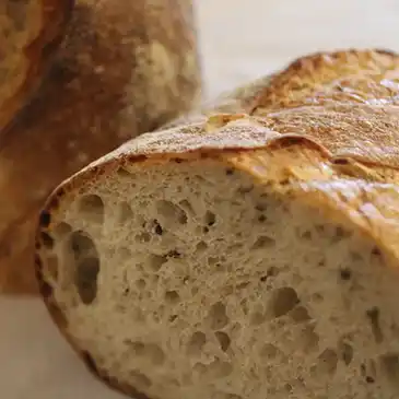 Light Rye with Caraway bread made at Standard Baking Co.